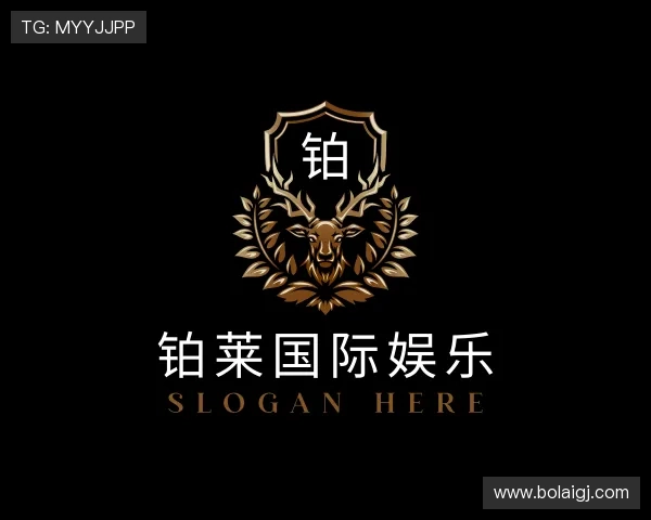 概览铂莱国际娱乐